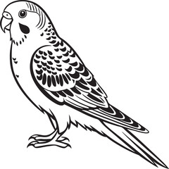 Fototapeta premium saint parrot bird silhouette vector illustration