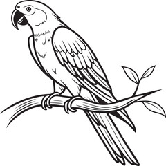 Obraz premium saint parrot bird silhouette vector illustration