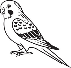 Obraz premium saint parrot bird silhouette vector illustration