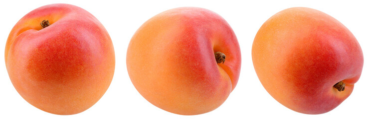 Apricot isolate. Apricots on white. Fresh apricot fruit set. With clipping path.