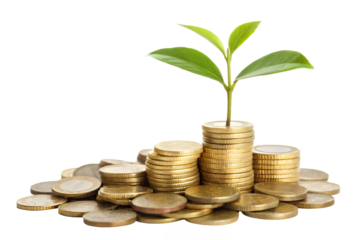 Plant growing from gold coin stacks representing financial growth and investment success concept idea png on transparent background