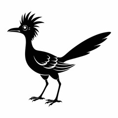 Elegant Roadrunner Silhouette Design