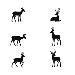 Deer Vector Illustration – Elegant Wildlife Animal Silhouette or Detailed Design