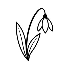 Snowdrop flower silhouette vector illustration