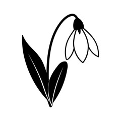 Snowdrop flower silhouette vector illustration