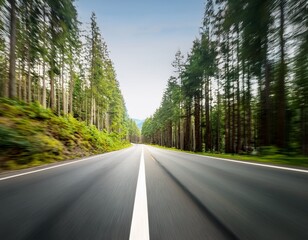 Fototapeta premium road in forest blur