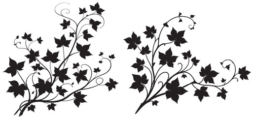 ivy vine silhouette, elegant decorative border and corner design element of leaves vector. wedding invitation border or spring graphic art decoration, vector