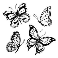 Monochrome Insect butterfly black winged gorgeous insect set isolated vector illustration