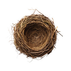 Obraz premium Bird nest png bird nest with eggs png nest png bird house png baby bird nest png natural bird nest png white background image
