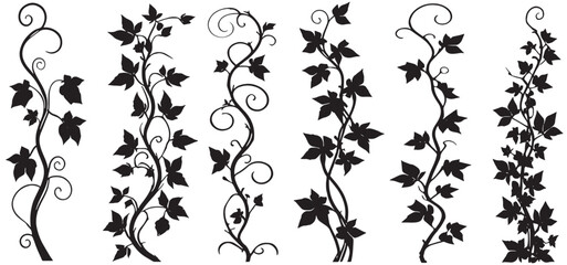 decorative black and white wavy ivy branches with leaves vector illustration, isolated on white background