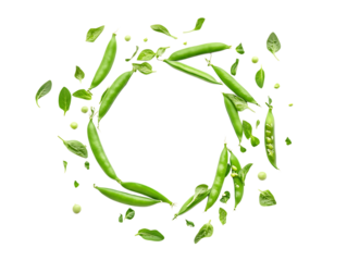 Vibrant Now Peas Vegetables on Plant