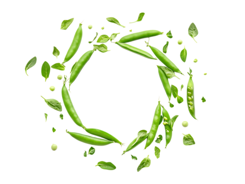 Vibrant Now Peas Vegetables on Plant