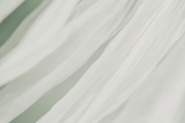 Obraz premium 柔らかな白い布の揺れが生む美しい光の影