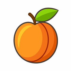 Apricot icon on white background