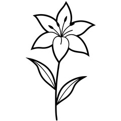 Minimalist Lily Plant Illustration – Continuous Line Floral Art