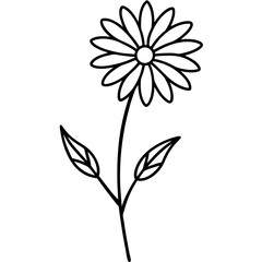 Single Stroke Daisy Plant Illustration on White Background