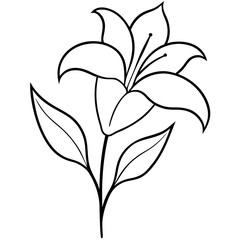 Single Stroke Lily Plant Vector – Elegant Botanical Design