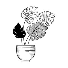 Detailed Graphic Monstera in Flower Pot Icon  Ideal for Botanical and Home Decor Designs