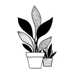 Detailed Graphic Flower Pot Icon with Blooming Plants Perfect for Botanical and Home Decor Designs