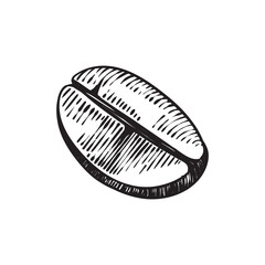 Isolated hand-drawn coffee bean in vintage engraving style, perfect for cafe branding, packaging design, or coffee-themed projects