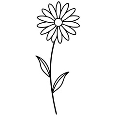 Elegant Line Art of Blooming Daisy with Full Plant Structure