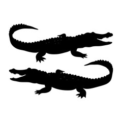 Naklejka premium Silhouette of two crocodiles with sharp teeth and spiked tails
