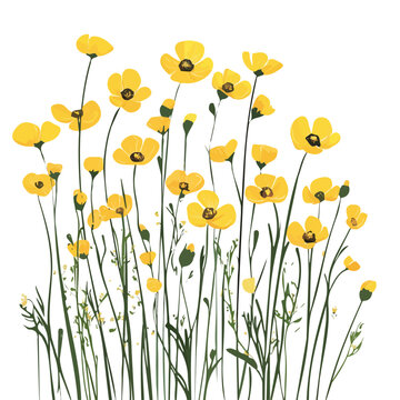 yellow flowers on white background clip art preview