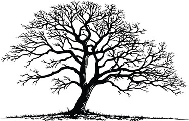 Black and White Bare Tree Silhouette – Minimalist Winter Botanical Vector Art