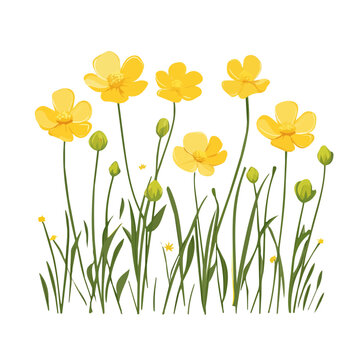 Buttercup clip art preview