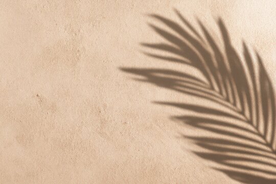 Fototapeta a beige sand background with a palm leaf shadow, top view. A summer concept for a banner or wallpaper