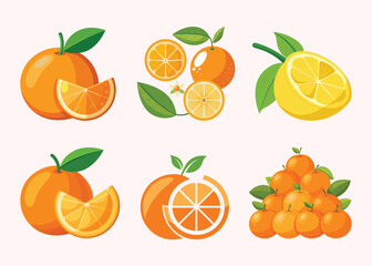set of citrus fruits