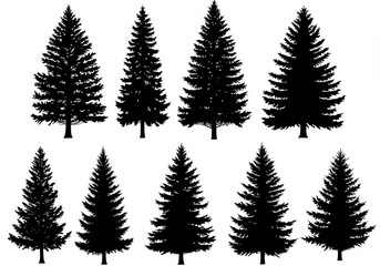 Fototapeta premium Evergreen Silhouette Collection - Ten detailed silhouettes of evergreen trees, perfect for winter designs or nature-themed projects. Various sizes included