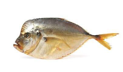 One dried moonfish isolated on white. Salty snack