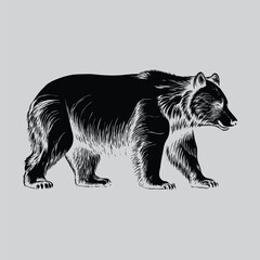 Roaring Bear Line Art Design