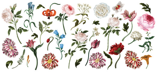 Big set oil painting rococo still-lifes flowers isolated. Vector.