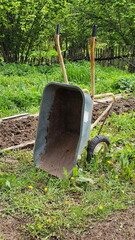 Wheelbarrow, in the garden