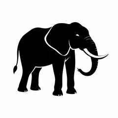 Fototapeta premium Silhouette of a black elephant with tusks and trunk raised