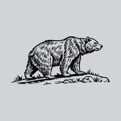 Vintage Bear Woodcut Style