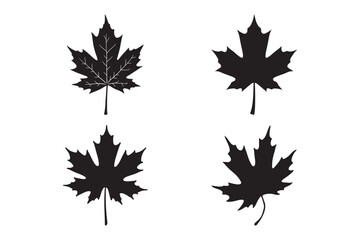 Maple Leaf Silhouette Vector Set Iconic Autumn Leaf Illustrations