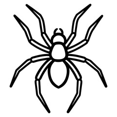 Simple Wolf Spider Digital Line Drawing