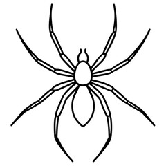 Simple Wolf Spider Digital Line Drawing