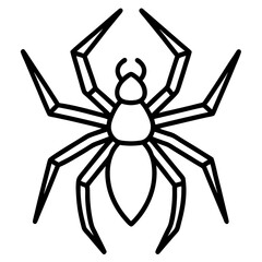 Obraz premium Simple Wolf Spider Digital Line Drawing
