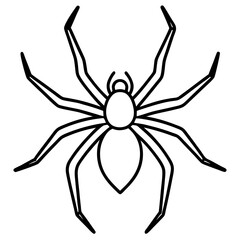 Simple Wolf Spider Digital Line Drawing