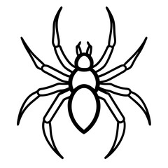 Simple Wolf Spider Digital Line Drawing