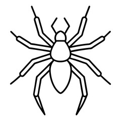 Simple Wolf Spider Digital Line Drawing