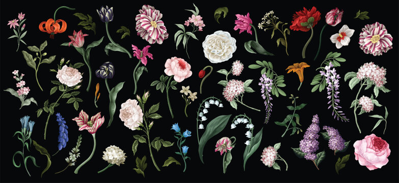 Big set oil painting rococo still-lifes flowers isolated. Vector.