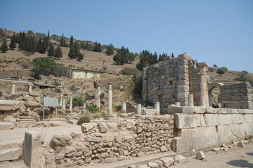 Fototapeta premium Türkiye ruins of ancient Ephesus on a cloudy autumn day