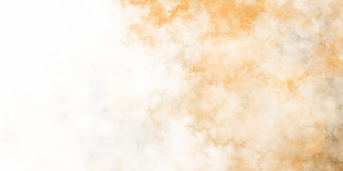 Beautiful shiny and blurry watercolor design, soft color grunge paper texture with smoke. feather wooly pattern texture background. Similar to dandelion seed head or downy feathers of birds or snow. 