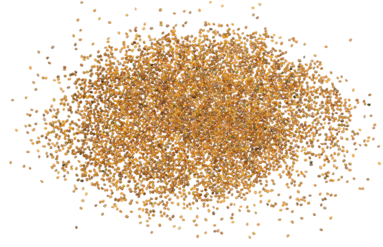 Arugula or rocket seeds flying, Eruca sativa, isolated on white background, clipping path