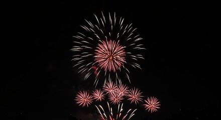 Fototapeta premium Vibrant Fireworks Display Illuminating Night Sky Celebration Spectacle